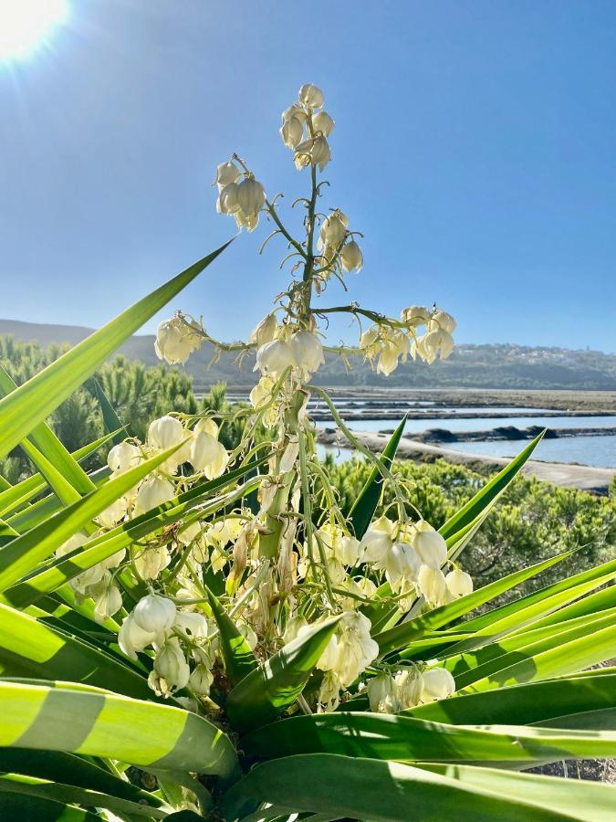 Herdade D' Amoreira Aljezur Exteriör bild